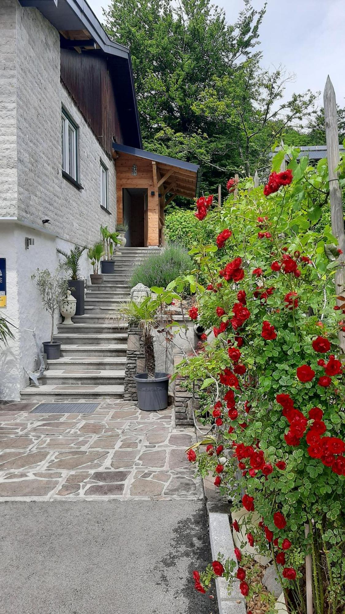 Ferienhaus Goldener Anker Unterach Am Attersee Luaran gambar